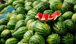 新沂网红吃瓜事件真相揭秘,揭秘背后真相与争议